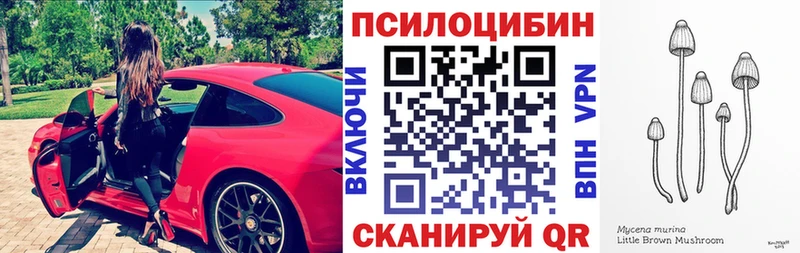 Галлюциногенные грибы MAGIC MUSHROOMS  продажа наркотиков  MEGA ссылки  Аркадак 